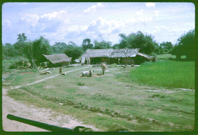 Farm in Vietnam